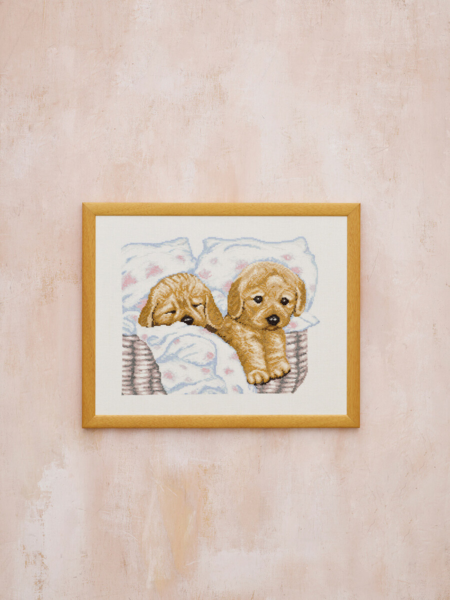 Borduurpakket Puppies in mand R5677 43 x 34 cm