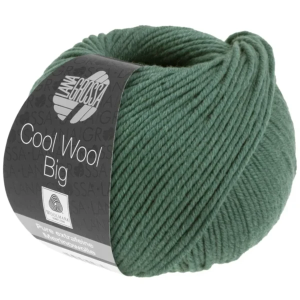 Lana Grossa Cool Wool Big 1004 Mosgroen