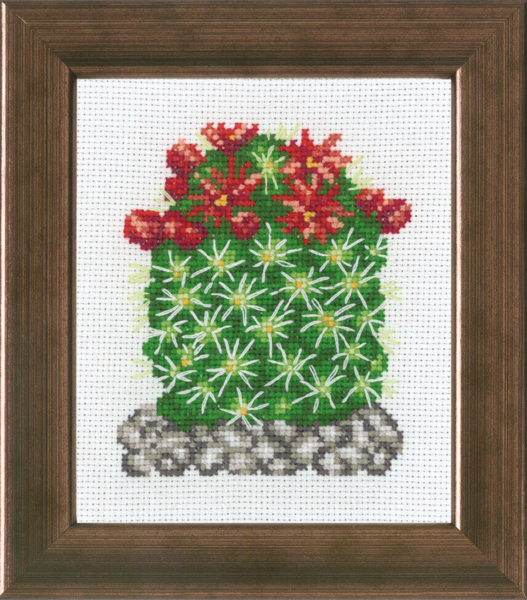 Borduurpakket Cactus met rood R5380 10 x 12 cm