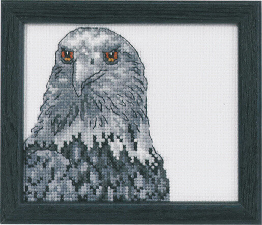 Borduurpakket Adelaar R5497 9 x 11 cm