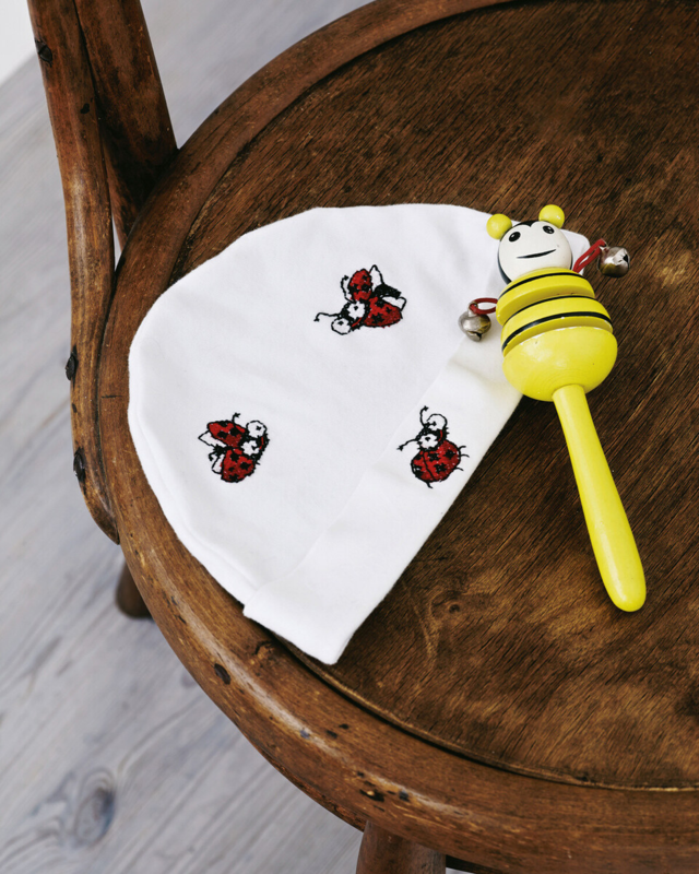 Borduurpakket Lieveheersbeestjes 7 x 9 cm