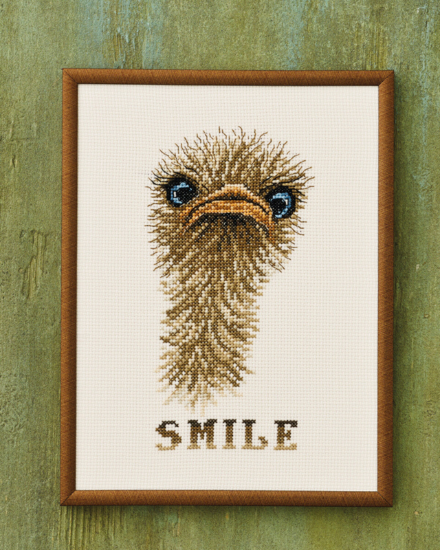 Borduurpakket "Smile" struisvogel 18x24 cm R5703