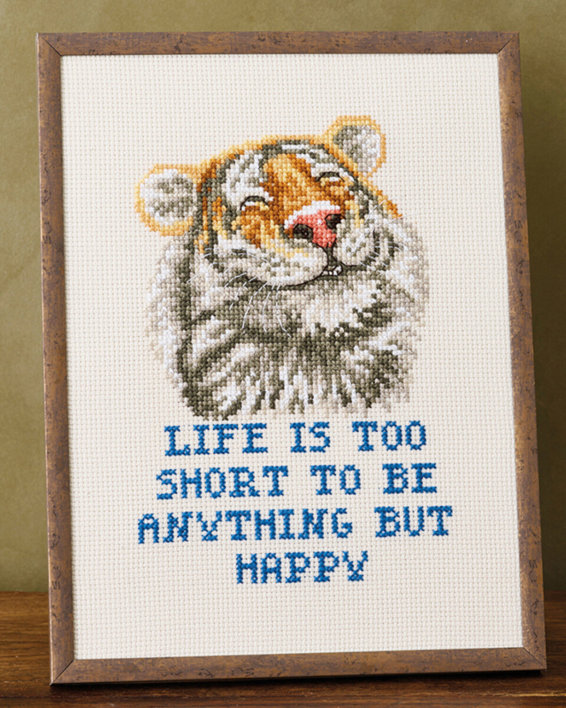 Borduurpakket Anything R5799 18 x 24 cm