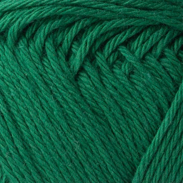 Yarn and Colors Favorite 087 Amazon