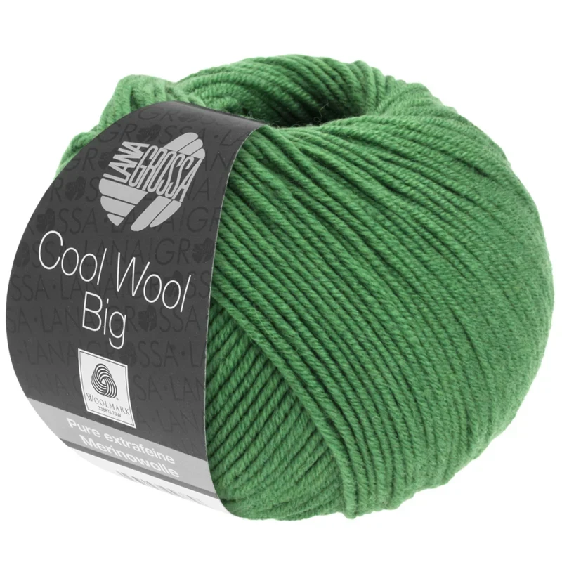 Cool Wool Big 997 Bladgroen