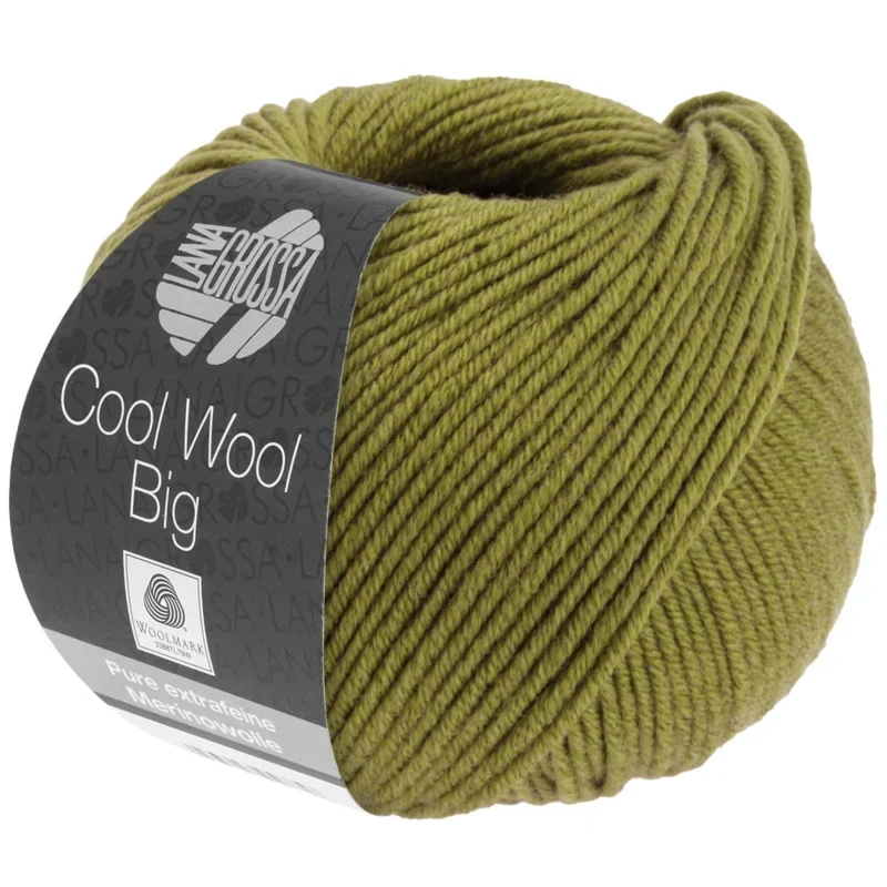 Cool Wool Big 1006 Lichtolijf