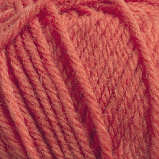 Svarta Fåret Ulrika 539 Cherrytomaat