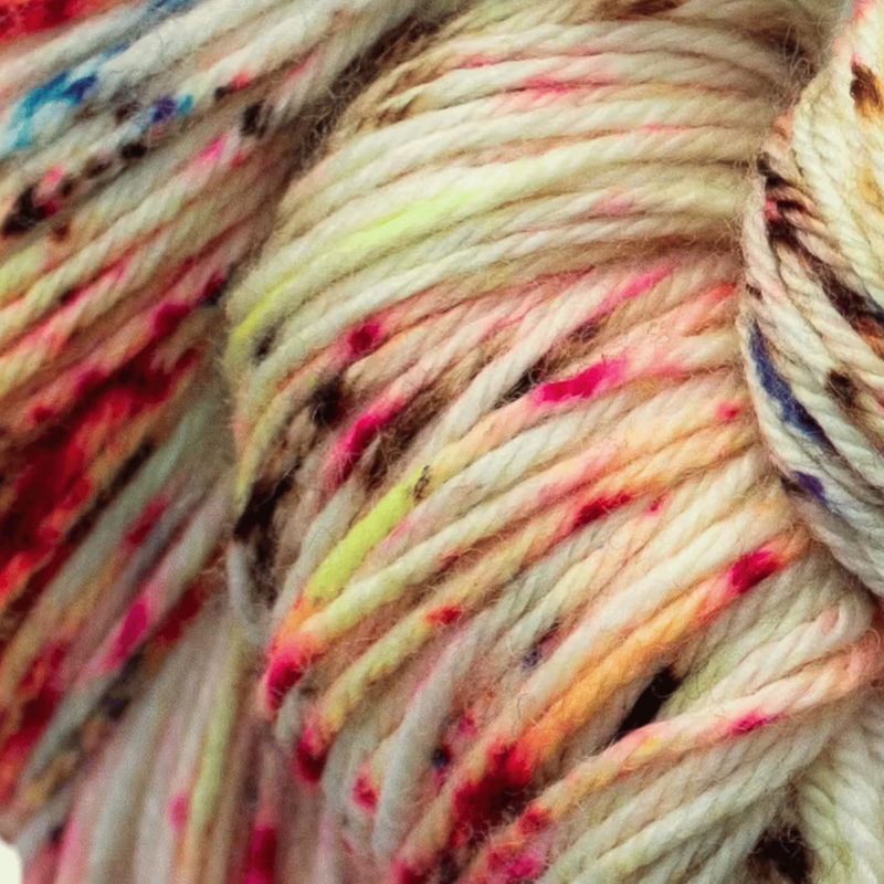 Malabrigo Arroyo 231 Sea Slug