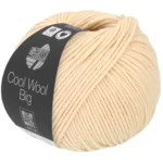 Cool Wool Big 1016 Schelp