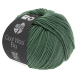 Cool Wool Big 967 Resedagroen