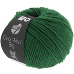 Cool Wool Big 949 Flessengroen