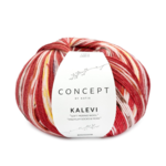 Katia Concept Kalevi Socks 204 Rood-Bruin-Geel-Roestrood