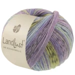 Lana Grossa Landlust Die Sockenwolle 618 Violetblauw/Jeans/Lichtblauw/Licht-/Donkergrijs/Jade/Pistache/Sering gestreept