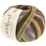 Lana Grossa Landlust Die Sockenwolle 716 Kaneelbruin/Roze/Ecru/Olijf/Geel/Mintgroen/Lila