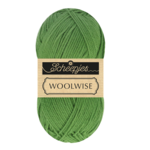 Scheepjes Woolwise 756 Agavegroen