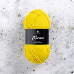 Svarta Fåret Merino 33 Vergulde eeuw