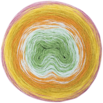 Rico Design Creative Wool Dégradé Super 6 10 Bes-groen