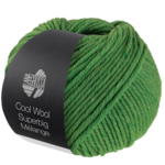 Lana Grossa Cool Wool Superbig 211 Groen gemêleerd