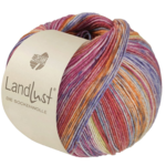 Lana Grossa Landlust die Sockenwolle Seide 335 Oranje/Grijs/Citroengeel/Lichtblauw/Blauw/Violet/Fuchsia/Lichtrood gestreept